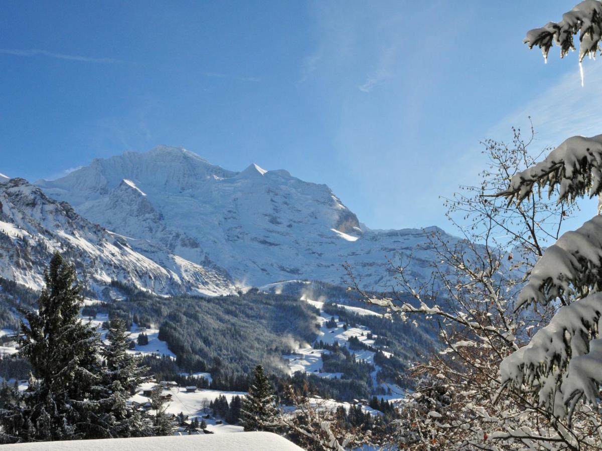 Apartment Melodie By Interhome Wengen Dış mekan fotoğraf